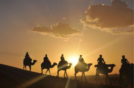Camel & Horse Ride in Agafay Desert